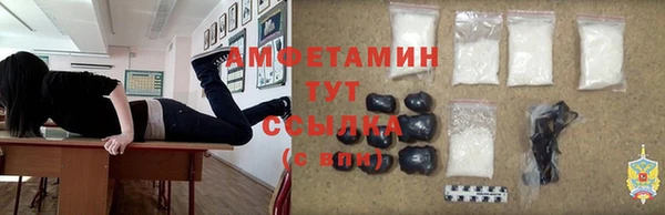 крисы Ельня